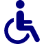 004-disabled-64